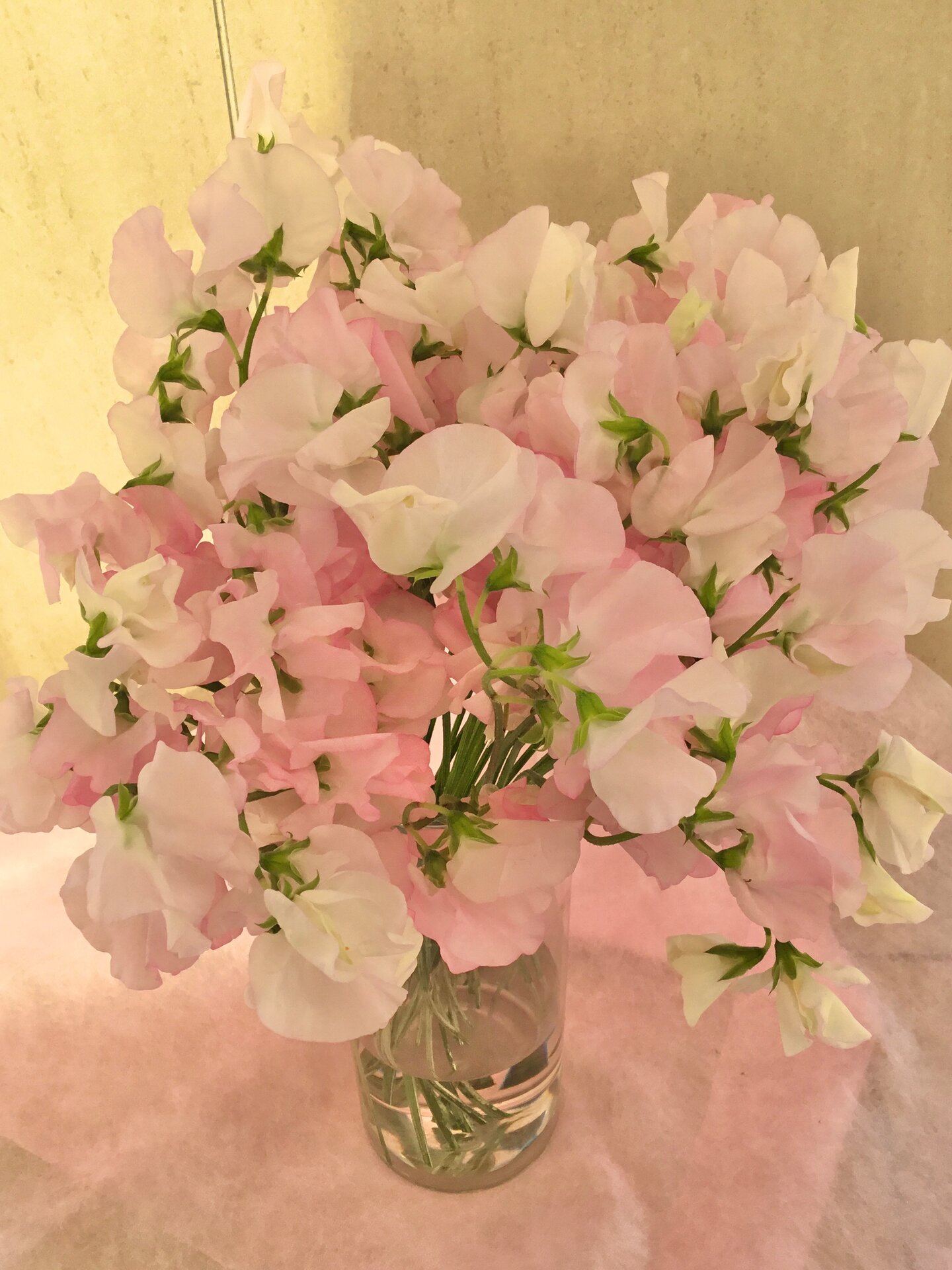 ⭐︎ バン花専用 ゆめタウン廿日市 Recommended Items アイテムページ｜ゆめタウン